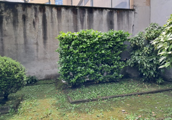 Milano (MI), VIALE CERTOSA, 0 , 2 Stanze Stanze,0,Magazzino,Vendita,VIALE CERTOSA,0,1146