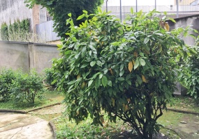 Milano (MI), VIALE CERTOSA, 0 , 2 Stanze Stanze,0,Magazzino,Vendita,VIALE CERTOSA,0,1146 Milano (MI), VIALE CERTOSA, 0 , 2 Stanze Stanze,0,Magazzino,Vendita,VIALE CERTOSA,0,1146