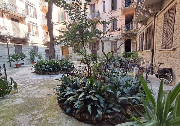 Milano (MI), Via PLINIO, 0 , 1 Stanza Stanze,1 BagnoBathrooms,Loft/Open space,Affitto,Via PLINIO ,0,1155