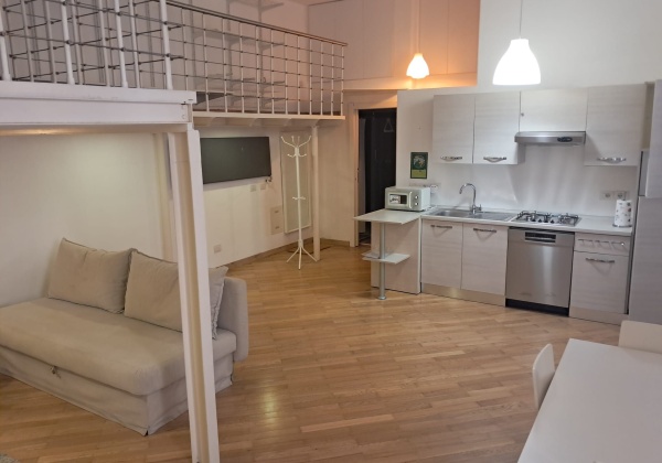 Milano (MI), Via PLINIO, 0 , 1 Stanza Stanze,1 BagnoBathrooms,Loft/Open space,Affitto,Via PLINIO ,0,1155