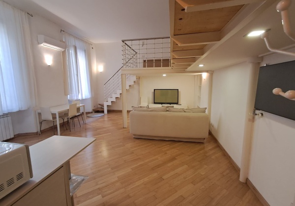 Milano (MI), Via PLINIO, 0 , 1 Stanza Stanze,1 BagnoBathrooms,Loft/Open space,Affitto,Via PLINIO ,0,1155