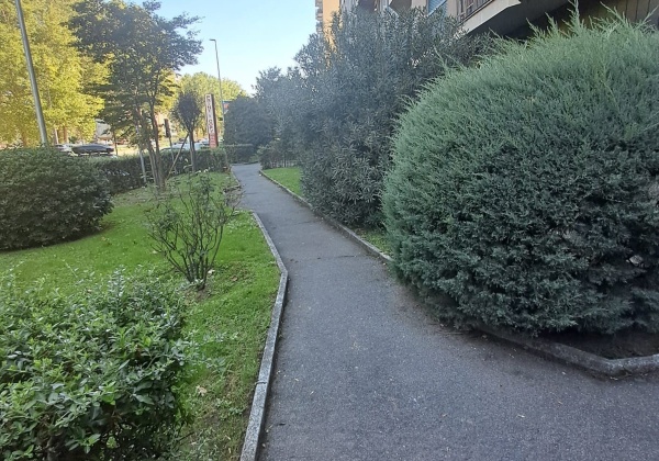 Viale FULVIO TESTI, 4 Camera da Letto Stanze da Letto, 5 Stanza Stanze,2 BagnoBathrooms,Appartamento,Vendita,Viale FULVIO TESTI ,0,1160