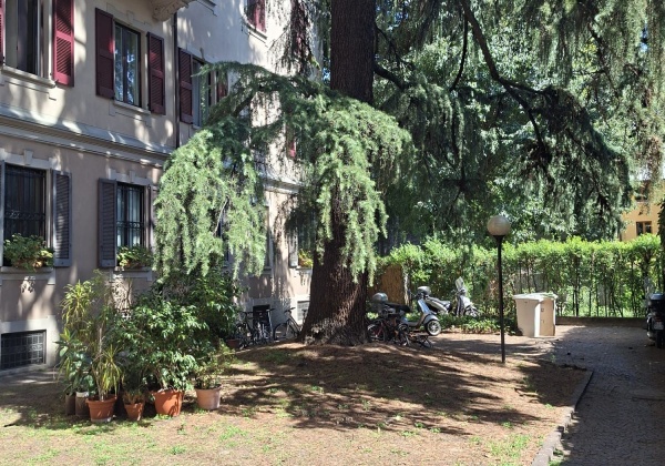 Via Carlo Vittadini, 1 Camera da Letto Stanze da Letto, 1 Stanza Stanze,1 BagnoBathrooms,Appartamento,Affitto,Via Carlo Vittadini,0,1161